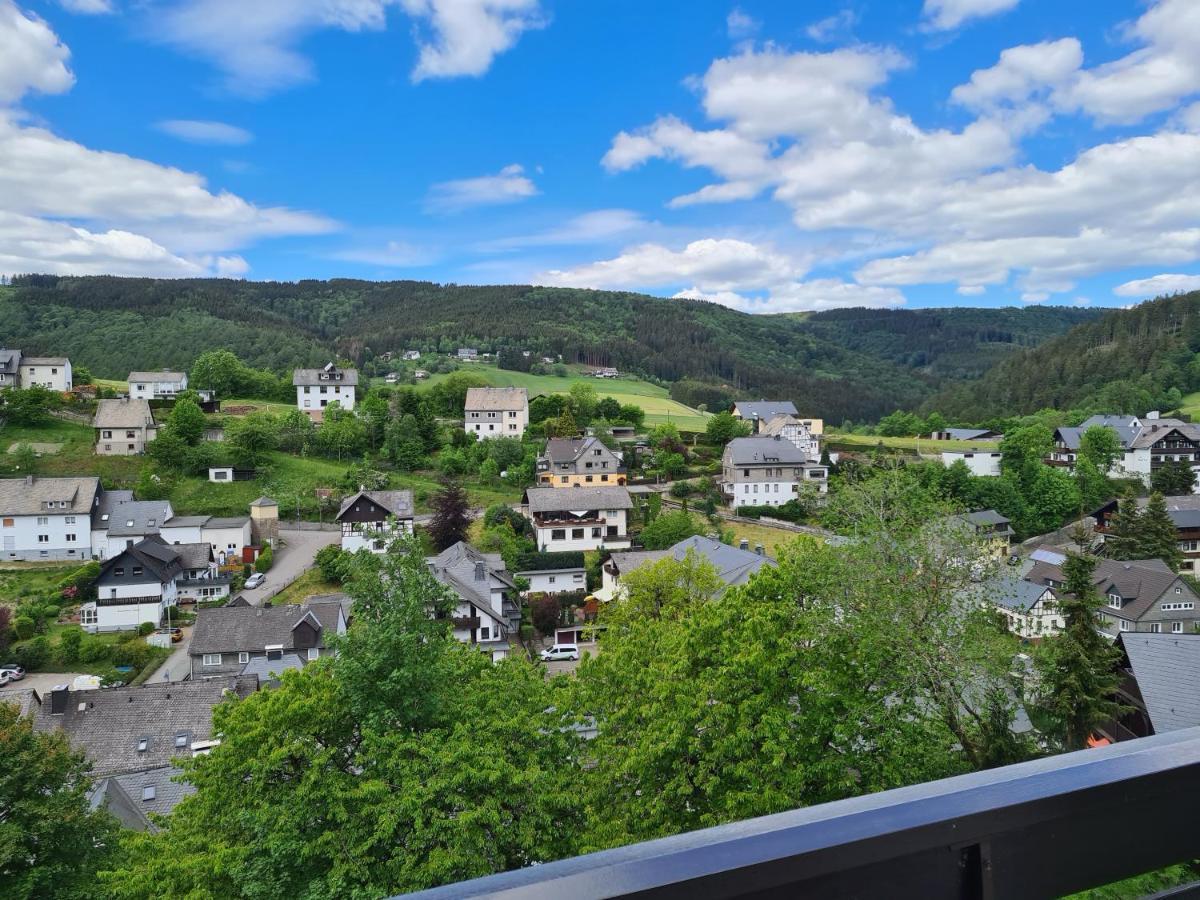 Panoramablick Willingen Schwalefeld公寓 外观 照片