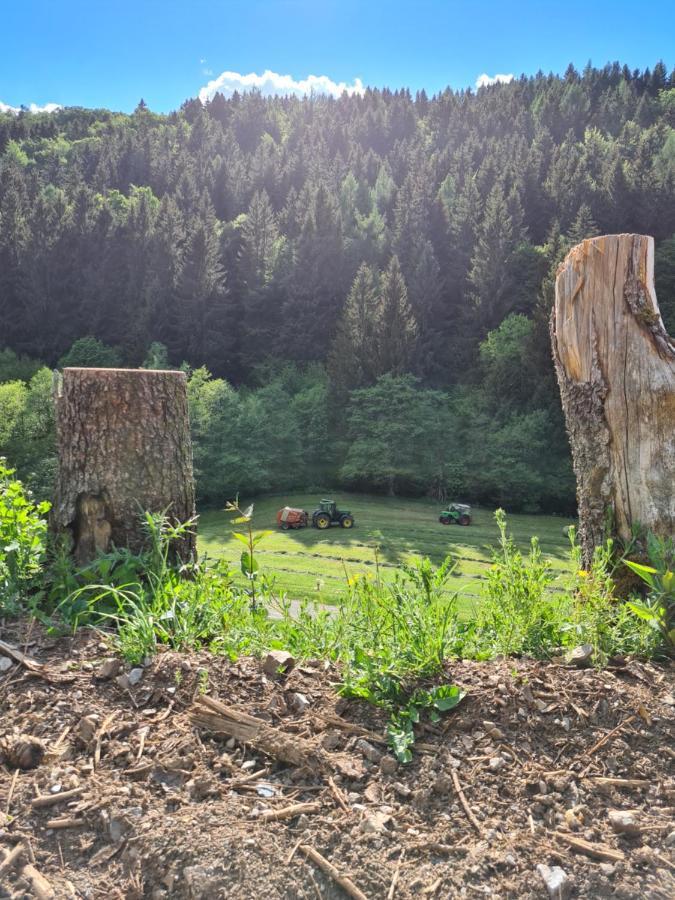 Panoramablick Willingen Schwalefeld公寓 外观 照片