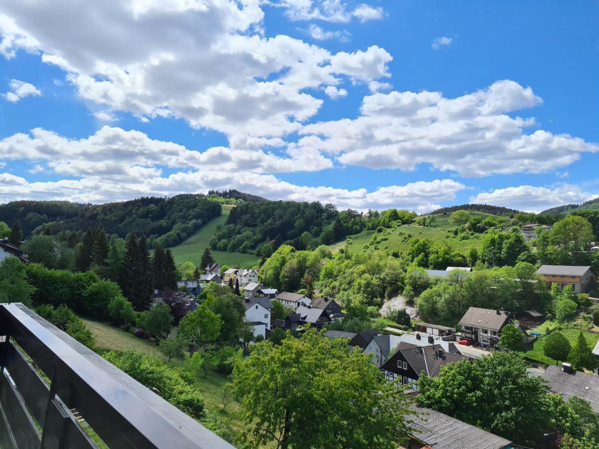 Panoramablick Willingen Schwalefeld公寓 外观 照片